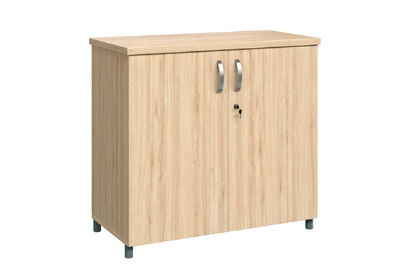 TG02-2 & TG05 2-Compartment Swing Door Wood Cabinet | Noi That 190